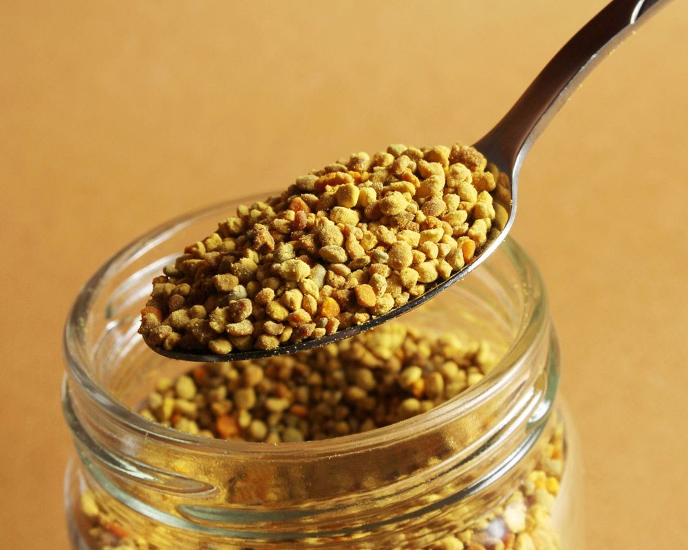 A spoonful of bee pollen granules from a jar