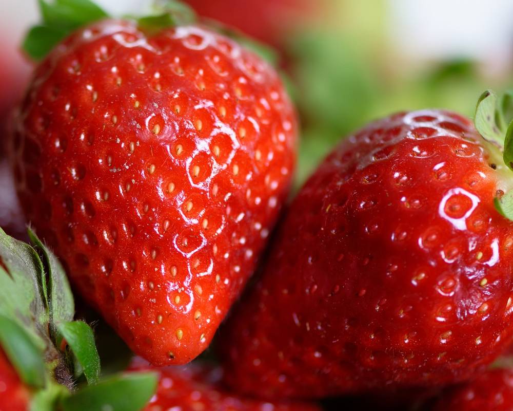 Strawberry all fruit diet